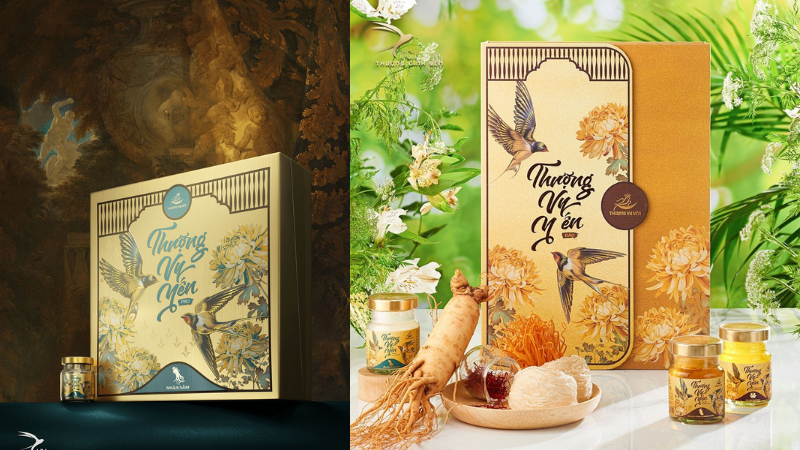 Mẫu hộp yến sào đẹp với thiết kế bao bì bắt mắt