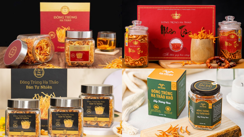 Các mẫu hộp đựng đông trùng hạ thảo phổ biến trên thị trường hiện nay