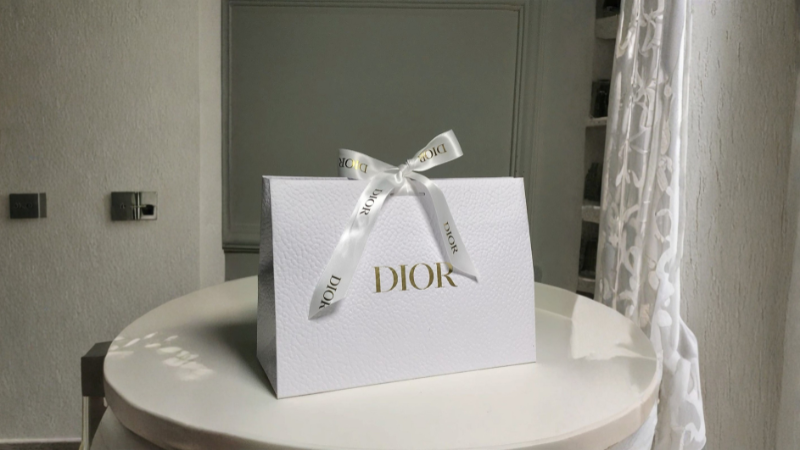 Mẫu t&uacute;i sang trọng c&aacute;n v&acirc;n mờ của Dior
