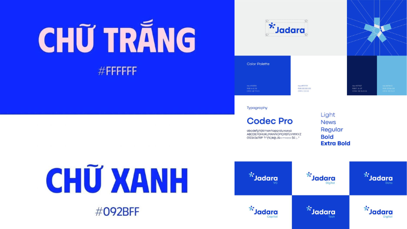 Phối màu logo màu xanh dương và trắng