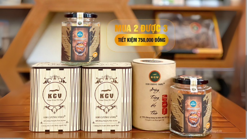Tối ưu bao bì để tối ưu chi phí vận chuyển đông trùng hạ thảo Tối ưu bao bì để tối ưu chi phí vận chuyển đông trùng hạ thảo