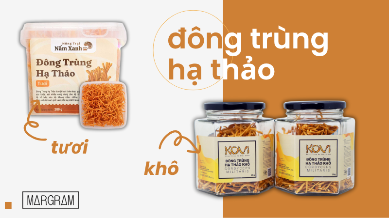 Đông trùng hạ thảo khô và tươi Đông trùng hạ thảo khô và tươi