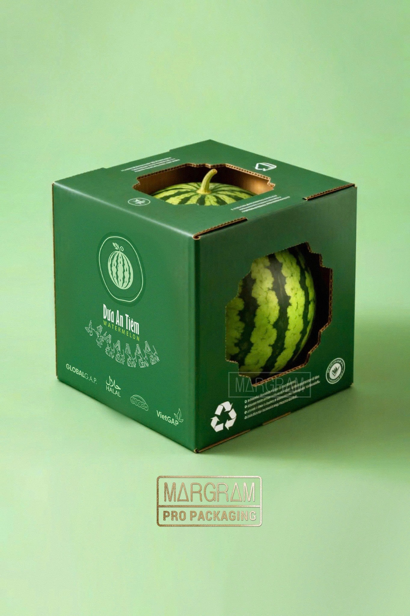 thiết kế bao b&igrave; tr&aacute;i c&acirc;y xuất khẩu