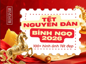Khám phá hơn 100+ hình ảnh Tết Nguyên Đán Bính Ngọ 2026 đẹp nhất