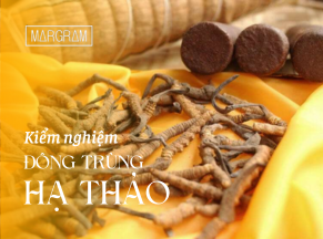 Tại sao cần kiểm nghiệm đông trùng hạ thảo và quy trình cơ bản cần biết