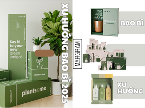 Tổng hợp 20+ xu hướng bao bì hiện nay phổ biến nhất
