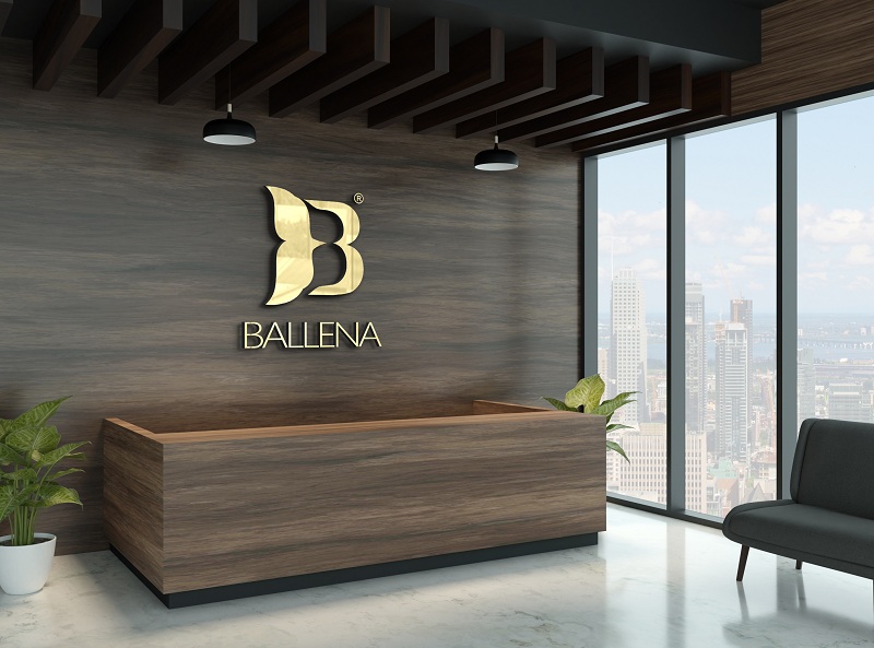 Thiết kế Logo thời trang Ballena